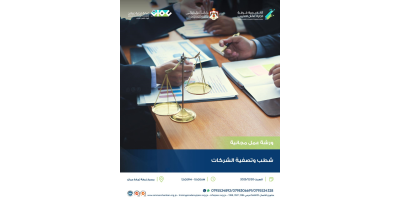 شطب وتصفية الشركات